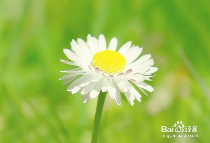 如何防止青少年患上近视？养成不良的行为习惯!