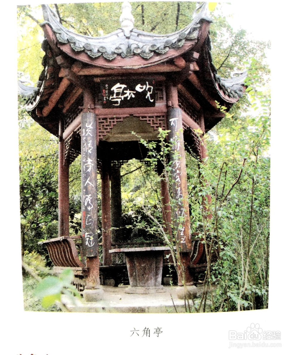 中国园林中亭子的形式和种类