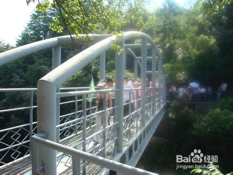 重庆到张家界旅游线路