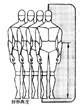 人体工程学——人体与室内