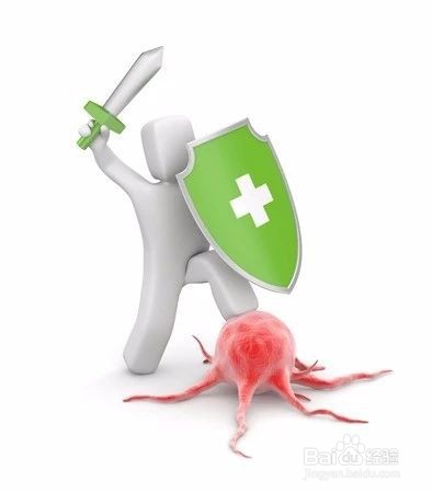 生三七粉和熟三七粉的区别