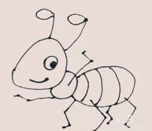 教你如何画好一只蚂蚁