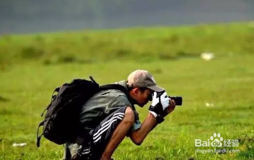 新手如何做好自媒体