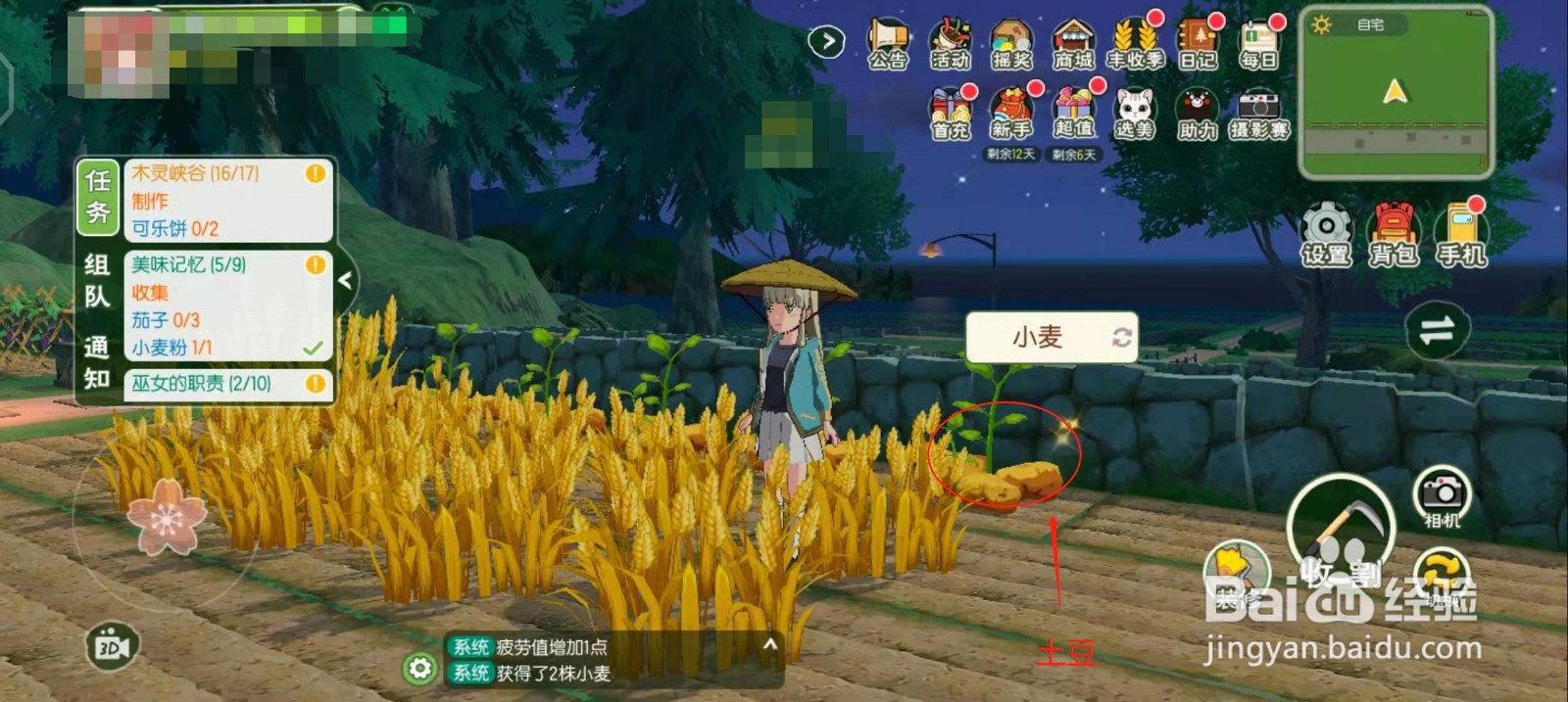 小森生活怎么制作薯泥