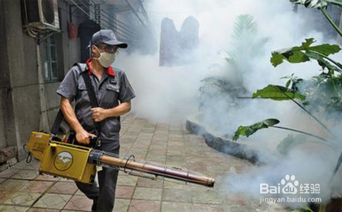 小学生怎样预防登革热病