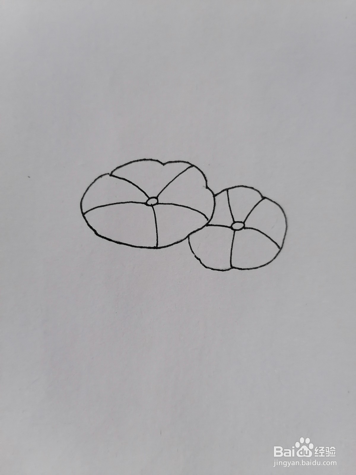 荷花用水彩怎么画