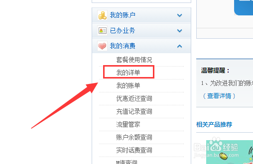 怎么详细查询手机话费账单与通话详单
