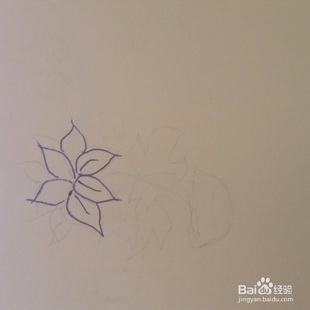 仙客来小盆栽简笔画