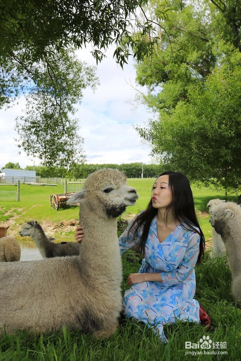 新西兰漫游简记7