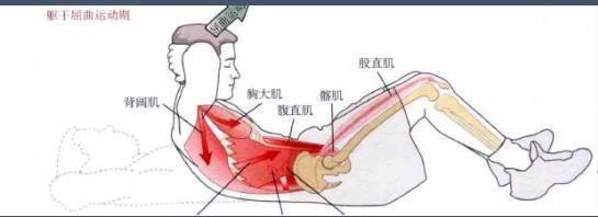 父母该了解,做仰卧起坐会致瘫