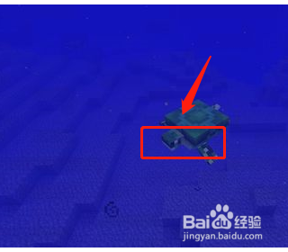 我的世界海龟怎么骑