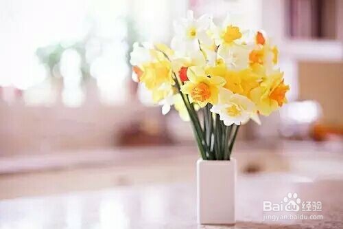 送给女人的九句话