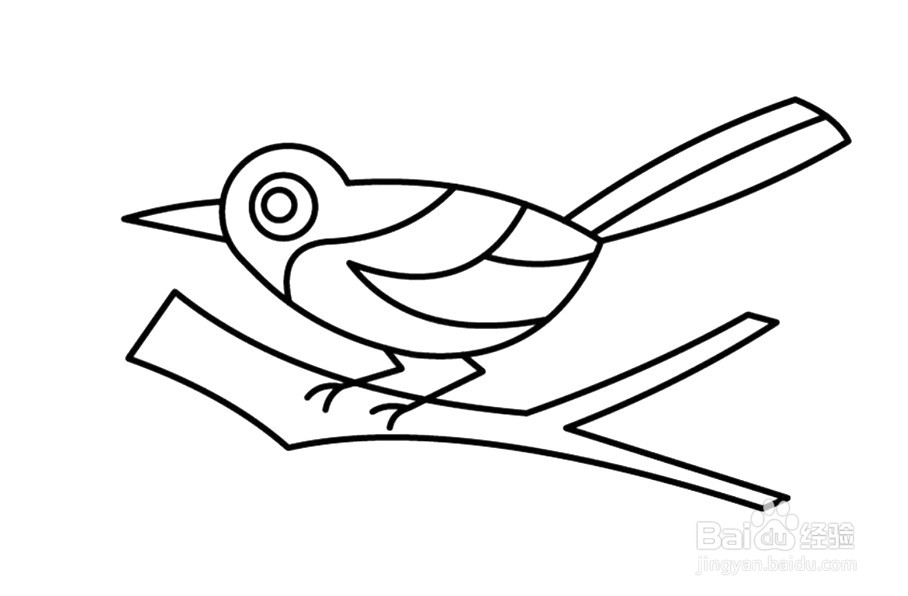 喜鹊简笔画 分步画法