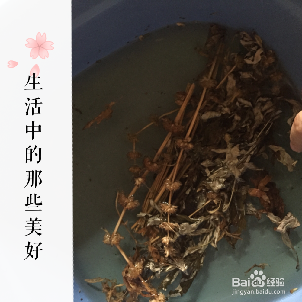 治疗宝宝痱子的方法
