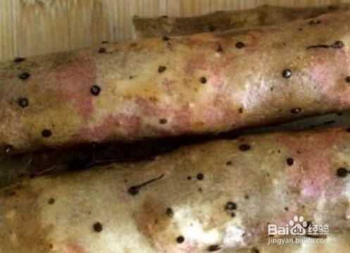 蓝莓山药怎么做