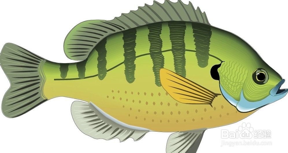 营口到张家界自驾游