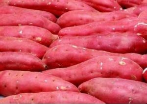 哪些食物一定不能共食（那些你不知道的秘密六）