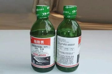 木制家具生蛀虫如何处理!