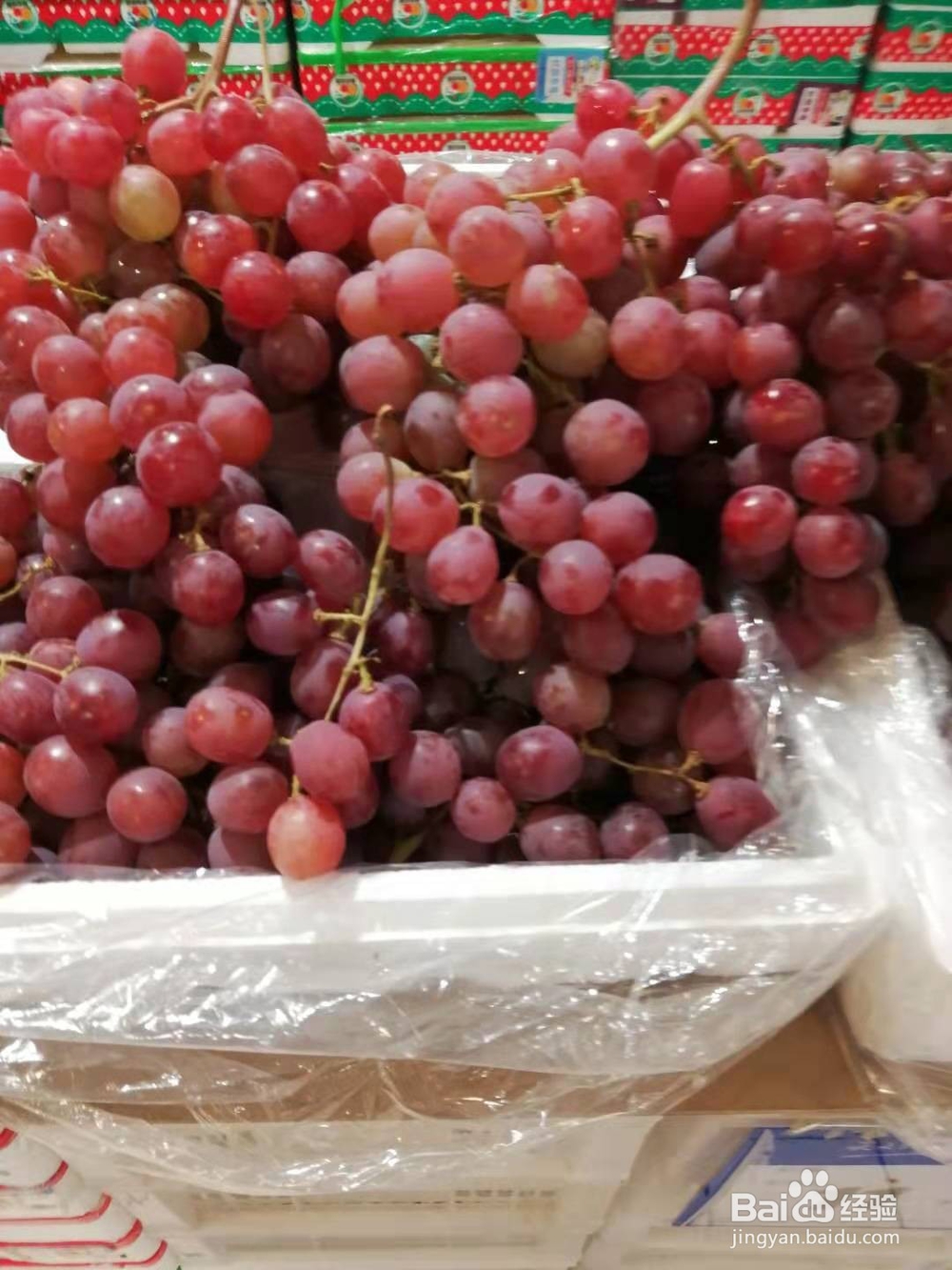 葡萄与提子的区别