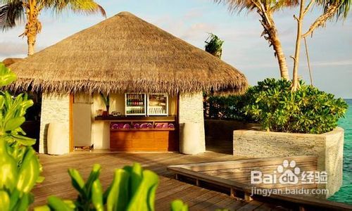 马尔代夫W岛旅游攻略