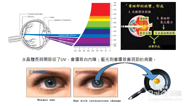 酷开防蓝光教育电视如何保护视力