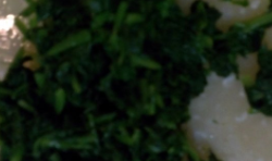 枸杞菠菜猪肝粥