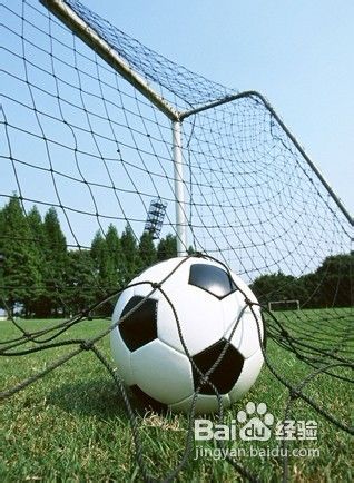 掌握下肢动力性热身动作