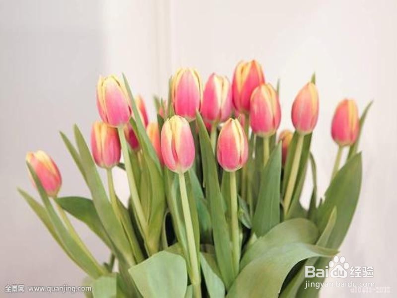 怎么提高我们的睡眠质量