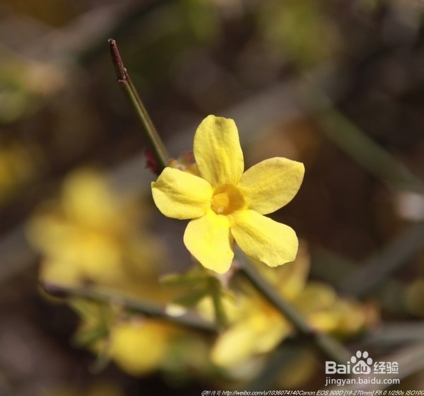 北京旅游攻略：[22]海淀公园