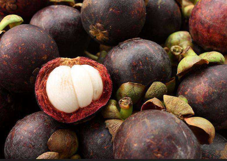 山竹是寒性的吗