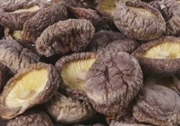 香菇的营养价值及功效与作用