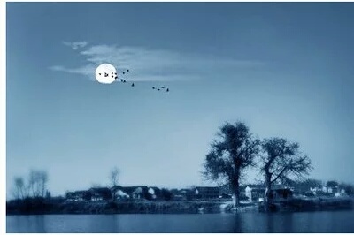 顾维钧晚年非常思念故土，为什么不会来呢