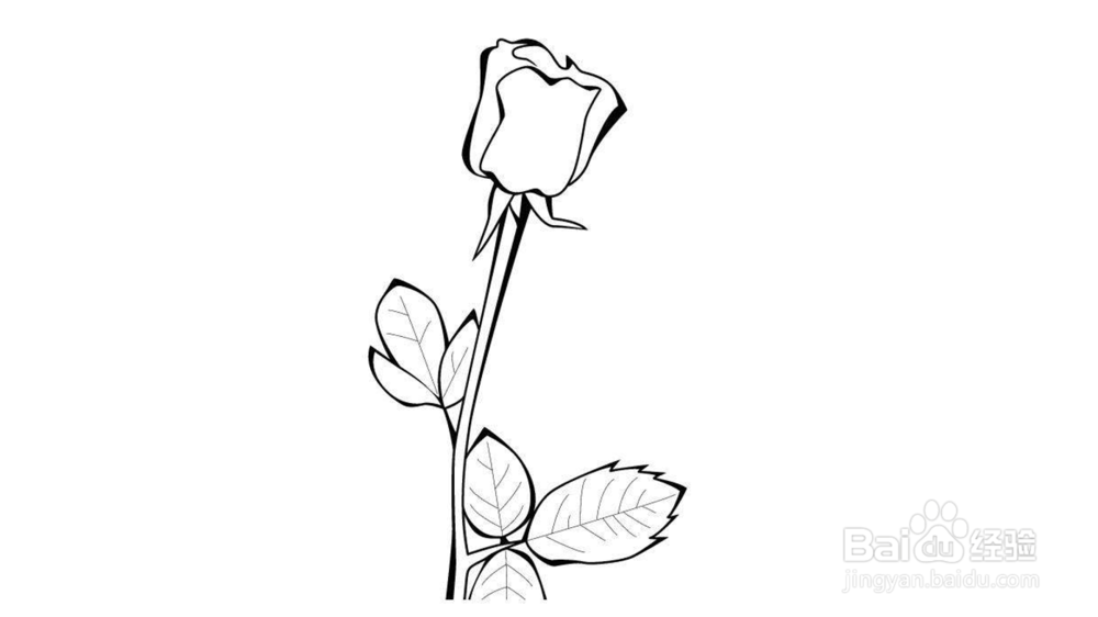 玫瑰花简笔画教程