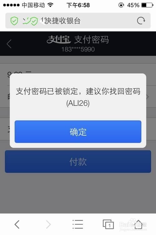 支付宝支付密码被锁定怎么办