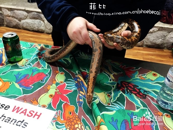 温哥华自然公园珍奇爬行动物展