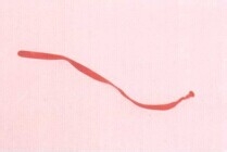 魔法气球造型系列之气球小木马