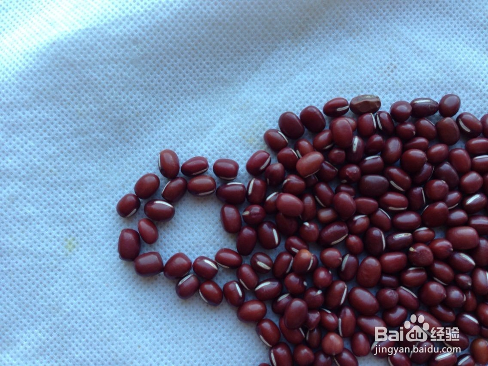 怎样画种子画--大象