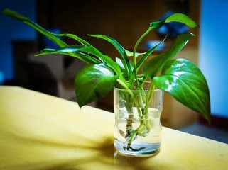 办公场所如何布局