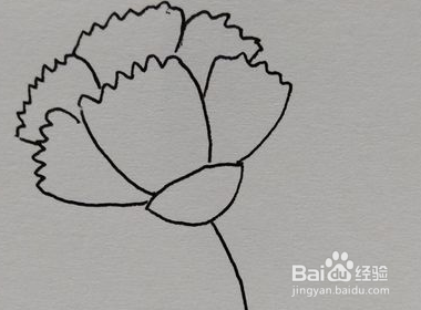 100种花草简笔画步骤图