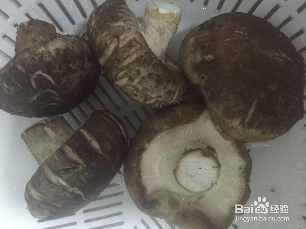 蘑菇炒青菜最简单最省事的方法