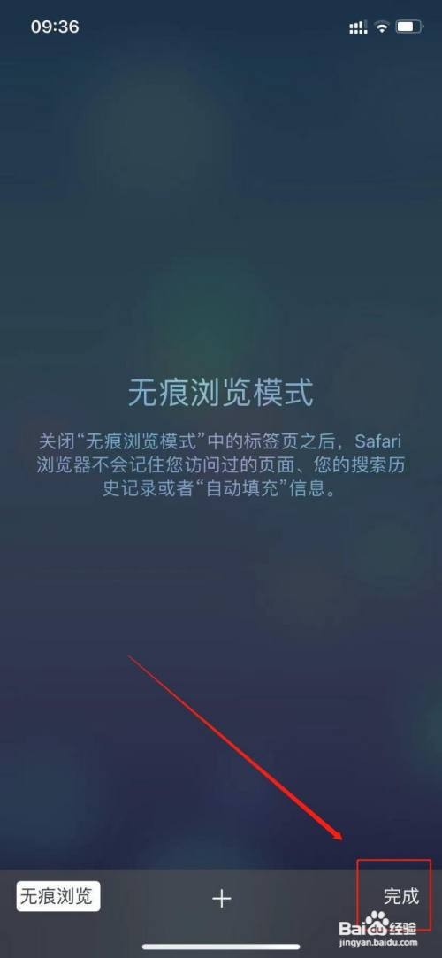 苹果11自带的Safari浏览器怎么设置无痕浏览模式