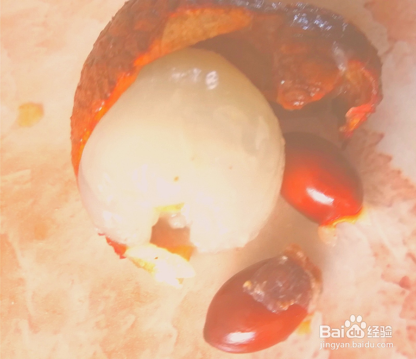 荔枝种子怎样种可以发芽