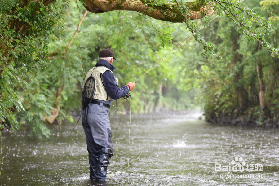 钓鱼需要注意什么