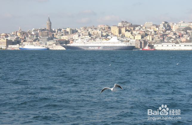 解决周五身心疲惫小妙招