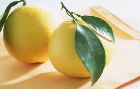 生活小常识（如何挑选美味可口的柚子）