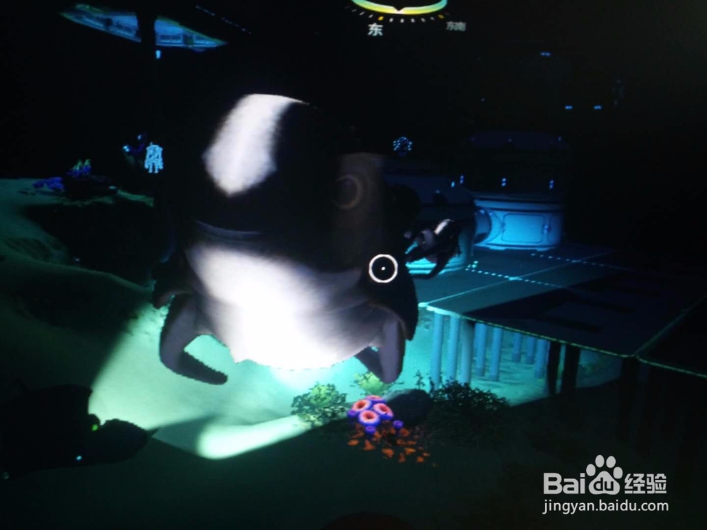 深海迷航抱抱鱼太可爱了！