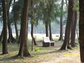 如何让自己养成看书的习惯