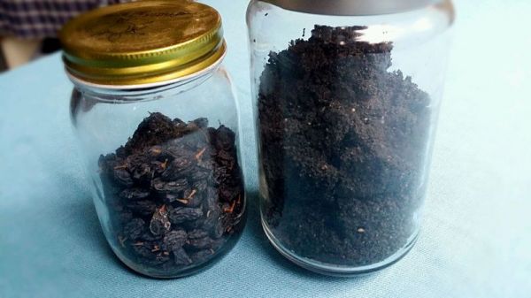 全麦黑提黑芝麻包