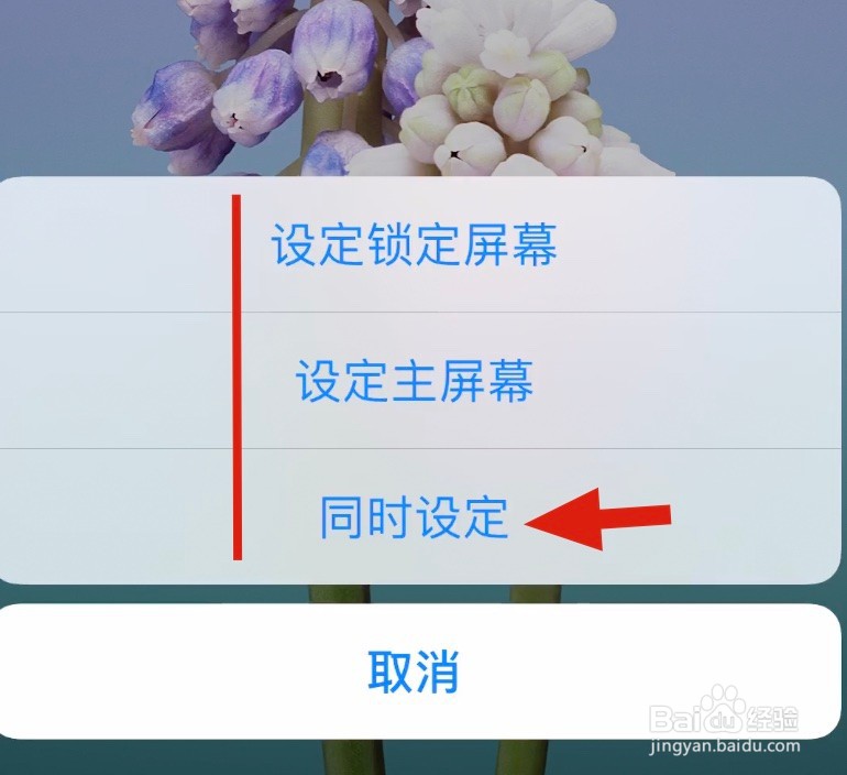 iPhone XS如何设置桌面壁纸？