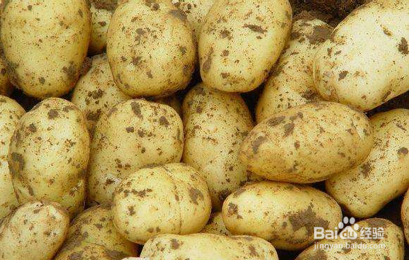 有慢性胃炎的人该怎样养胃？饮食禁忌有哪些？